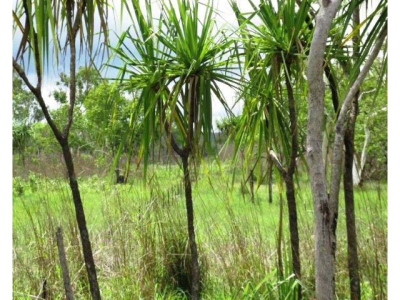 Batchelor NT 0845