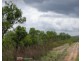 Batchelor NT 0845