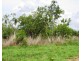 Batchelor NT 0845