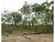 Batchelor NT 0845