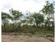 Batchelor NT 0845