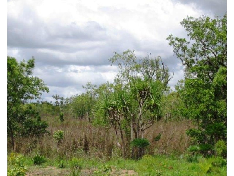 Batchelor NT 0845