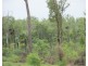 Batchelor NT 0845