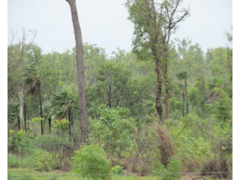 Batchelor NT 0845