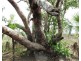 560 Cheeney Road, Batchelor NT 0845