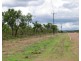 560 Cheeney Road, Batchelor NT 0845
