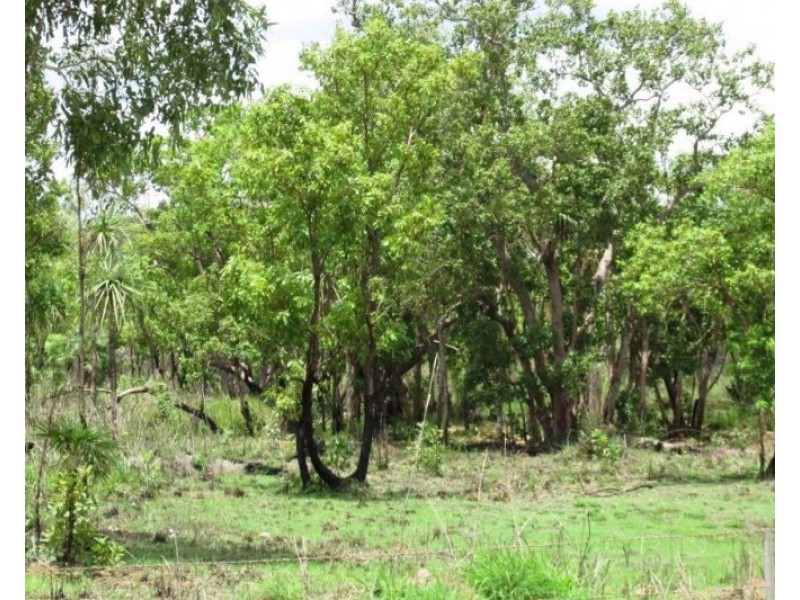 560 Cheeney Road, Batchelor NT 0845