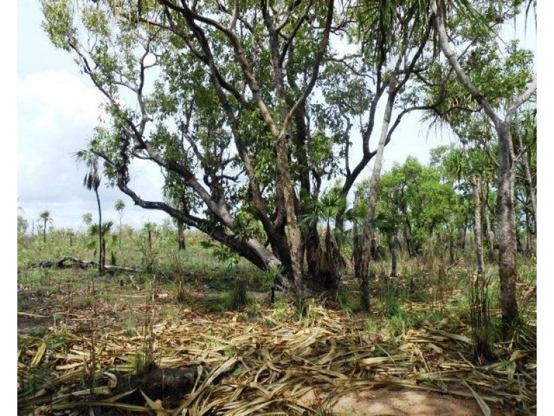 560 Cheeney Road, Batchelor NT 0845