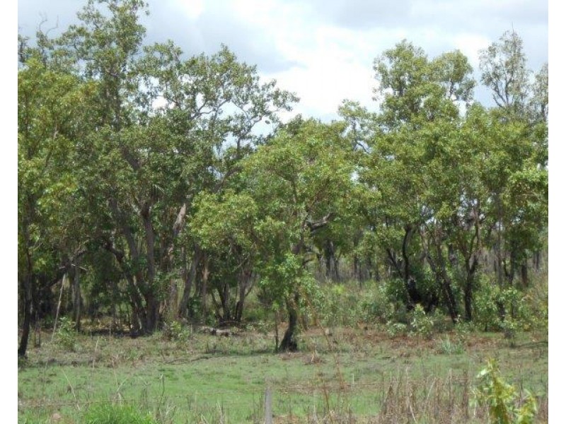 560 Cheeney Road, Batchelor NT 0845