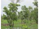 560 Cheeney Road, Batchelor NT 0845