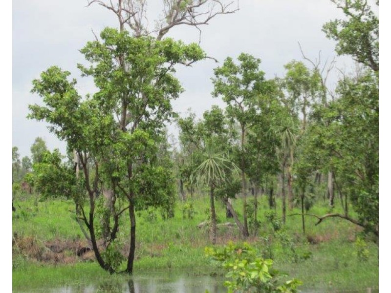 560 Cheeney Road, Batchelor NT 0845
