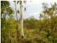 868 Peacock Road, Collett Creek NT 0845