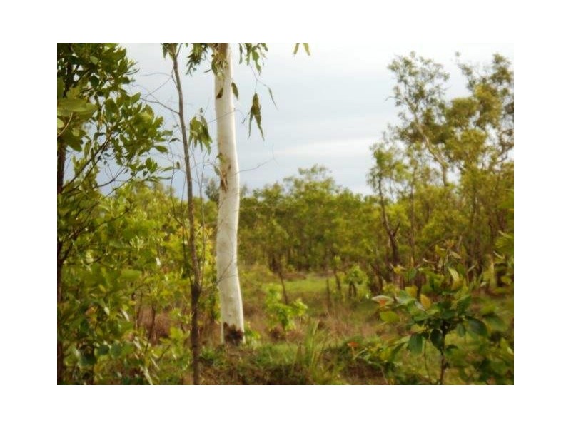 868 Peacock Road, Collett Creek NT 0845