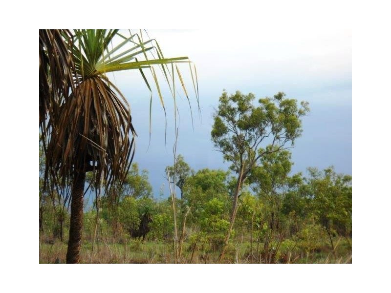 868 Peacock Road, Collett Creek NT 0845