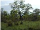 868 Peacock Road, Collett Creek NT 0845