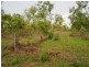 868 Peacock Road, Collett Creek NT 0845