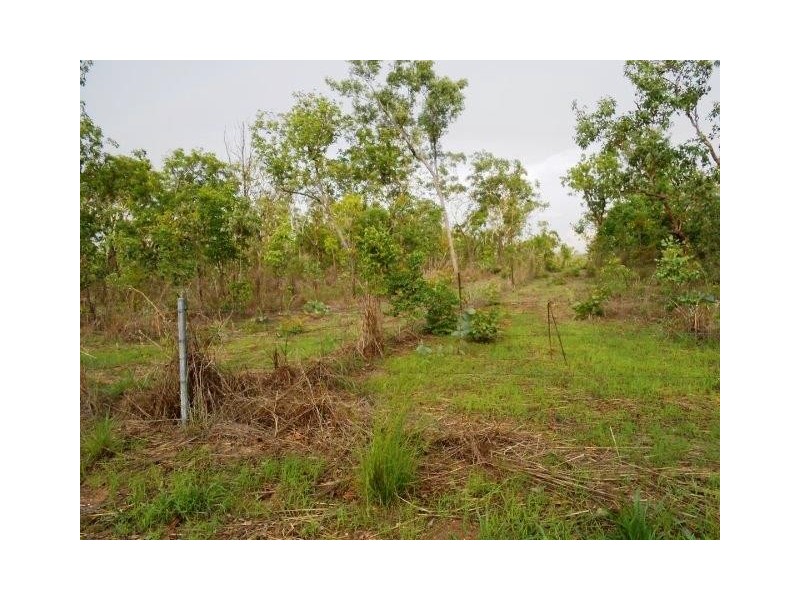 868 Peacock Road, Collett Creek NT 0845