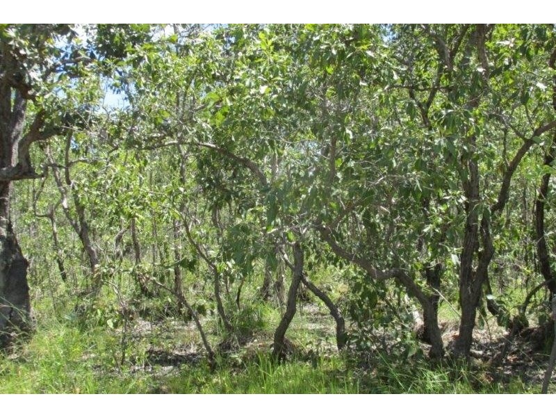 Dundee Beach NT 0840