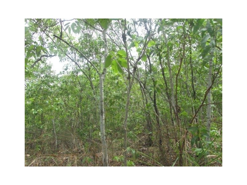 Dundee Beach NT 0840