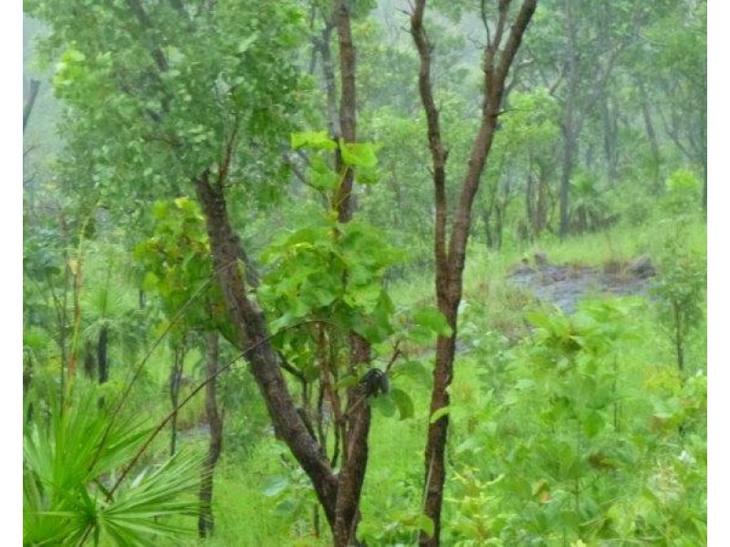Dorat Road, Adelaide River NT 0846