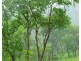Dorat Road, Adelaide River NT 0846