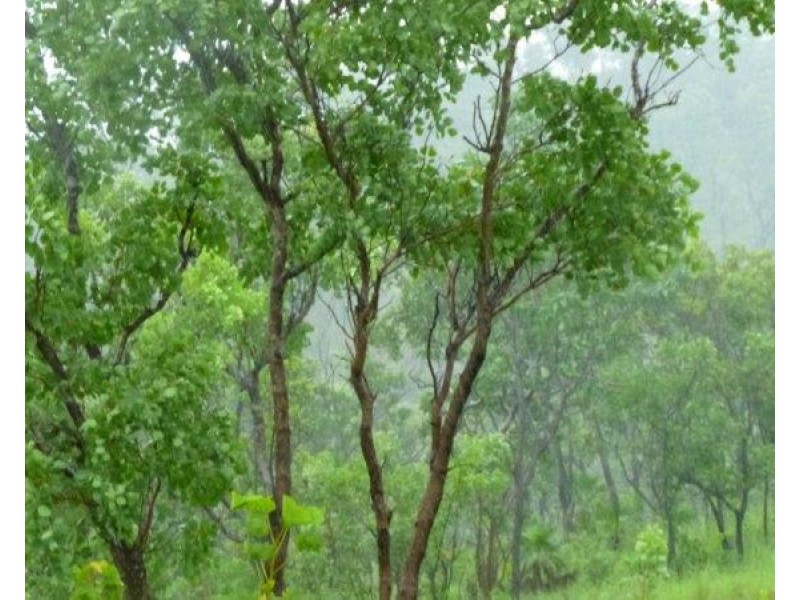 Dorat Road, Adelaide River NT 0846