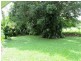 Manton NT 0837