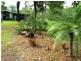 56 Corpus Road, Humpty Doo NT 0836