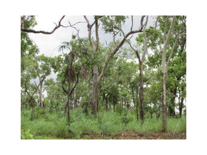 Coomalie Creek NT 0845
