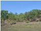 Coomalie Creek NT 0845