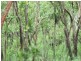 Coomalie Creek NT 0845