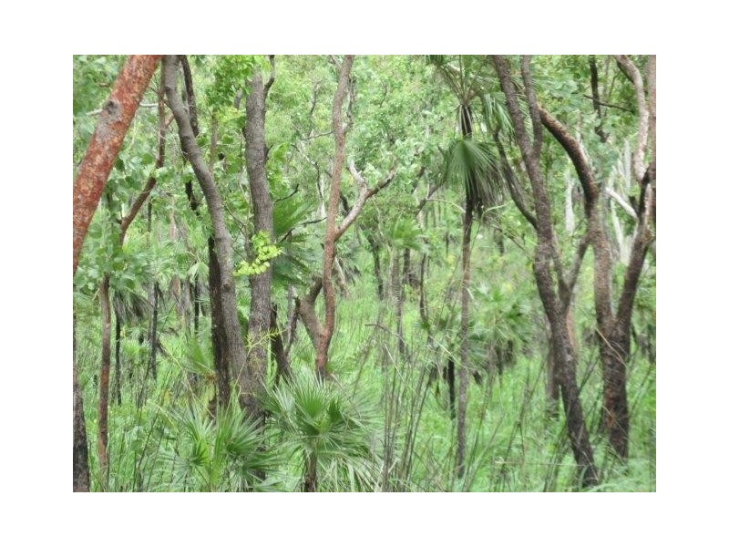 Coomalie Creek NT 0845
