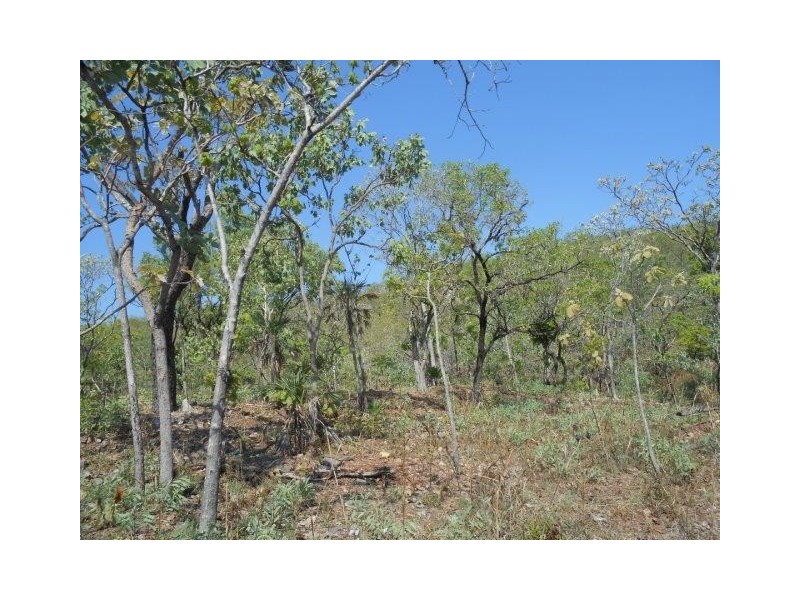 Coomalie Creek NT 0845