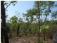 Coomalie Creek NT 0845