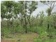Coomalie Creek NT 0845