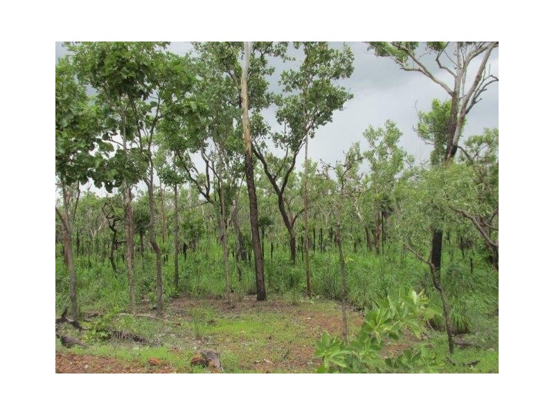 Coomalie Creek NT 0845