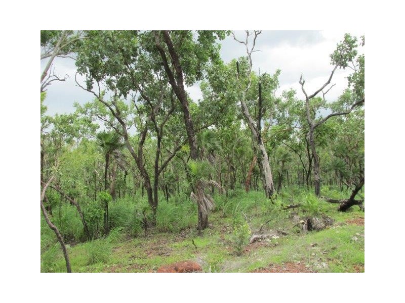 Coomalie Creek NT 0845