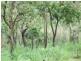 Coomalie Creek NT 0845