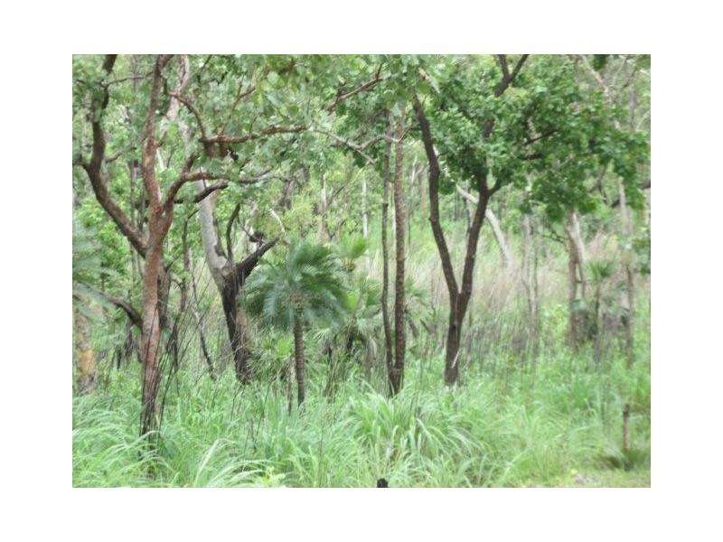 Coomalie Creek NT 0845