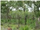 Coomalie Creek NT 0845