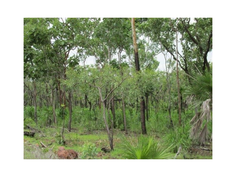 Coomalie Creek NT 0845