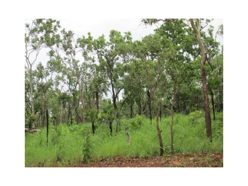 Coomalie Creek NT 0845