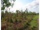 Batchelor NT 0845