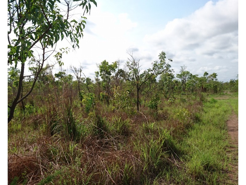 Batchelor NT 0845
