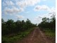 Batchelor NT 0845