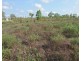 Batchelor NT 0845