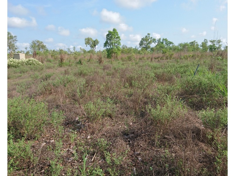 Batchelor NT 0845