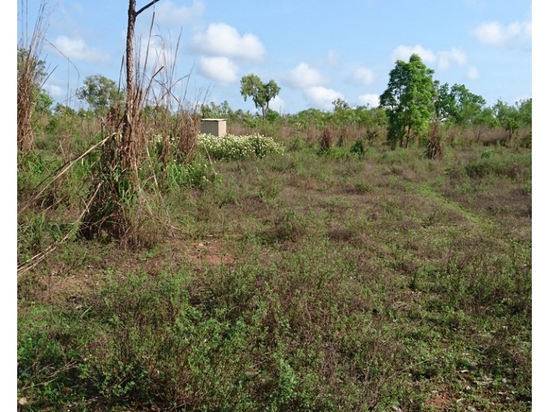 Batchelor NT 0845