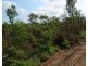 Batchelor NT 0845