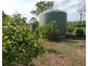 Batchelor NT 0845